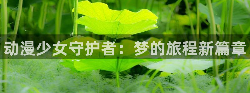 动漫网页导航