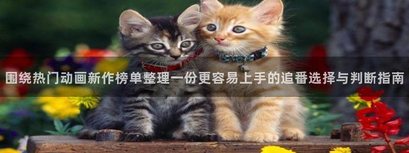 玄幻动漫推荐