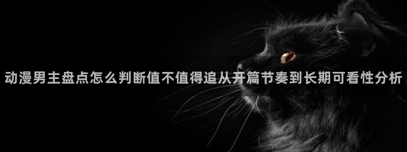 动漫更新时间