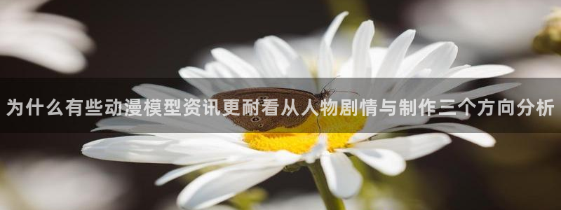 动漫类型大全