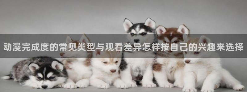 高分动漫