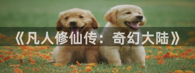 经典动画推荐