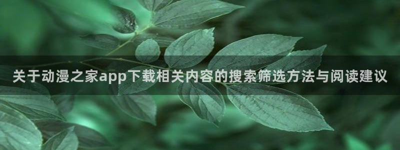动漫内容导航