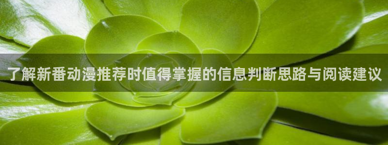 动漫评分排行