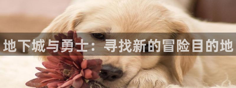 必看动漫推荐