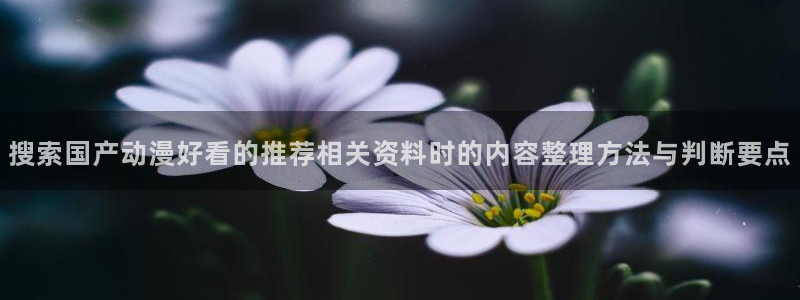 动漫网站导航
