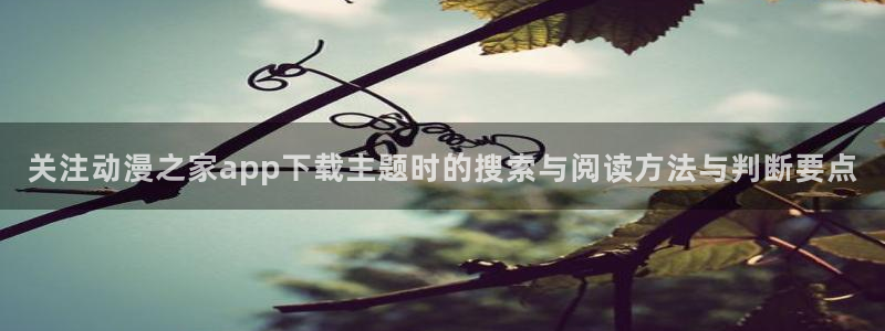 热门动漫网站