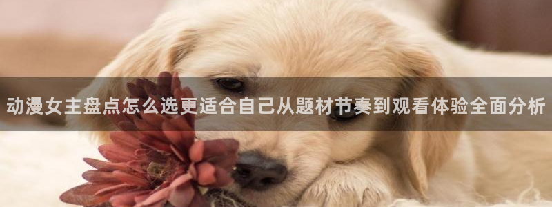 本季新番