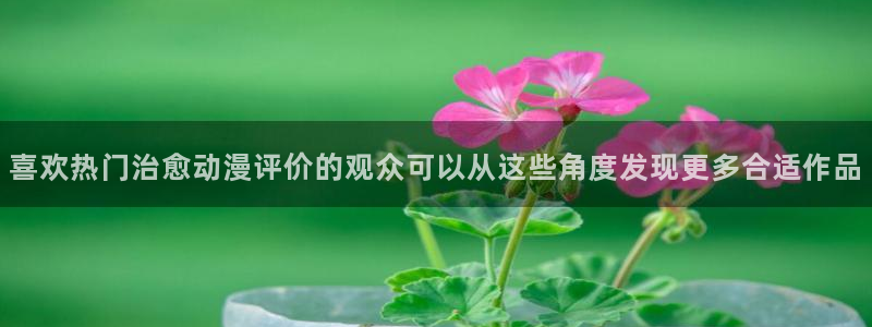 新番动画