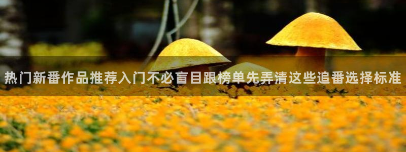动漫网页版
